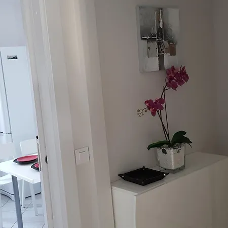 아파트 Apartament